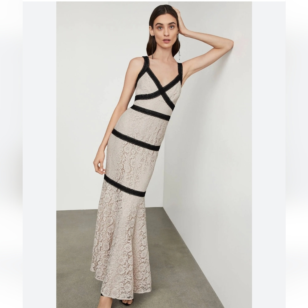 BCBGMAXAZRIA Bare Lace Dress with Black Accents - Picture 7 of 9
